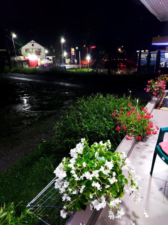 Casa Rodica Lejlighed Vatra Dornei Eksteriør billede