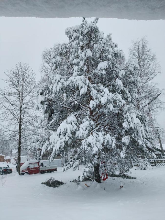 Casa Rodica Lejlighed Vatra Dornei Eksteriør billede