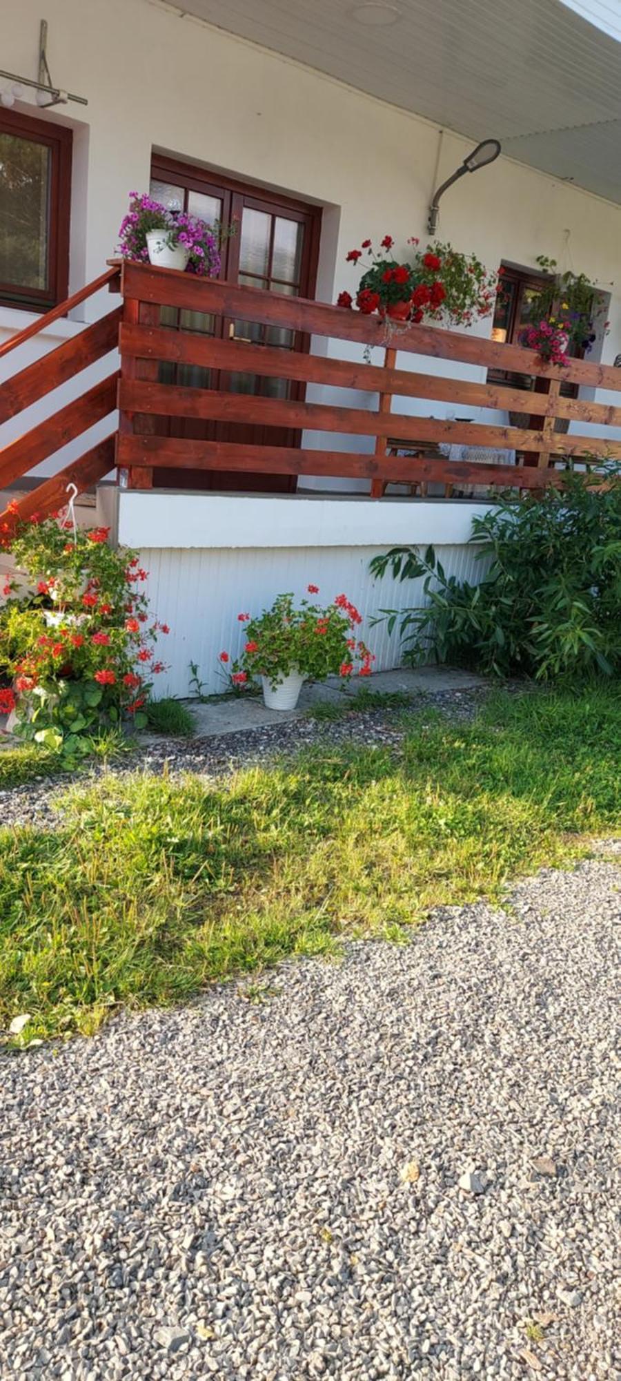Casa Rodica Lejlighed Vatra Dornei Eksteriør billede